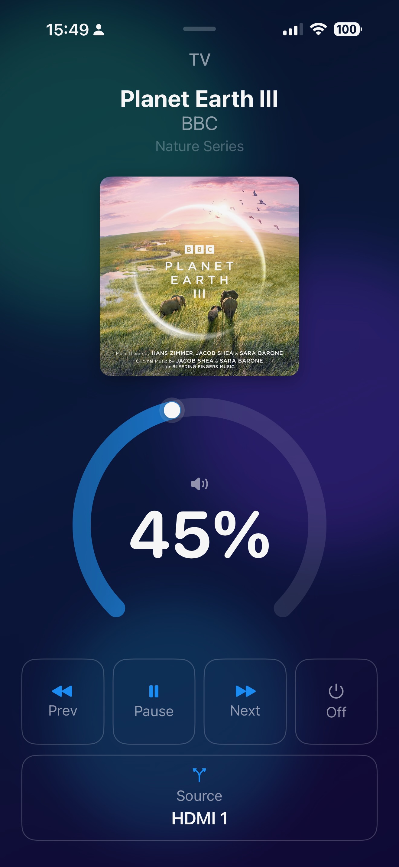 Media player controls