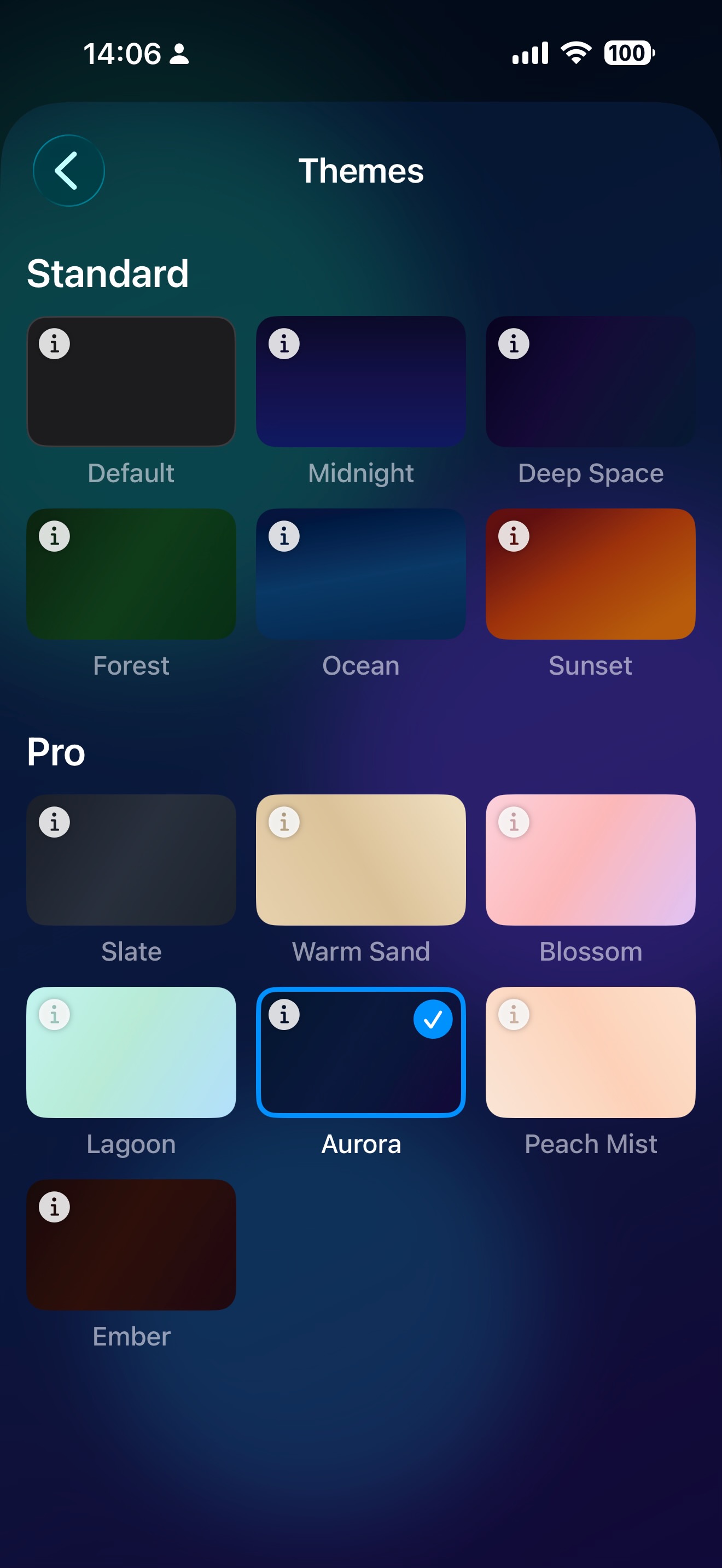 HAHome climate screen